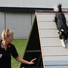 Agility Weltmeisterin Frick   09 115_jpg-1286140576