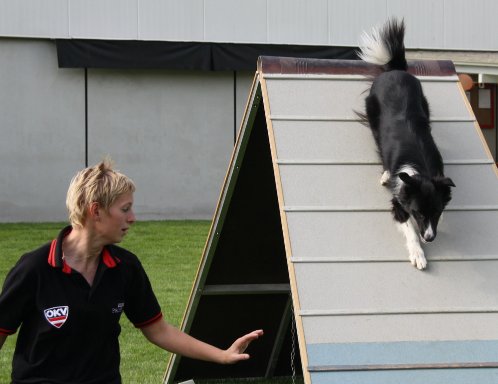 Agility Weltmeisterin Frick   09 115_jpg-1286140576