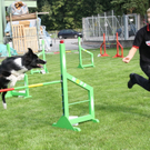 Agility Weltmeisterin Frick   09 129_jpg-1286140595