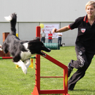 Agility Weltmeisterin Frick   09 136_jpg-1286140613
