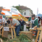 Buschelwettbewerb 2010