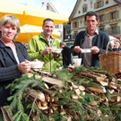 DSC_0213_JPG-1286174096