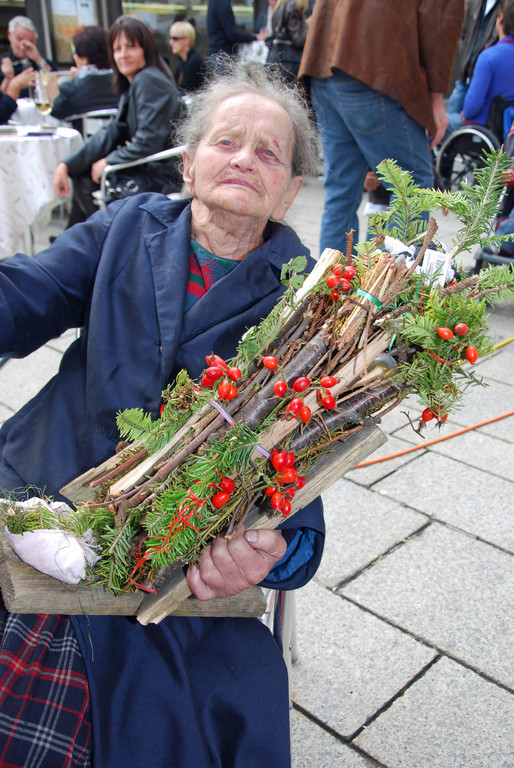 DSC_0216_JPG-1286174148