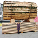 DSC_0289_JPG-1286174650