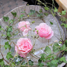 2010 10 01_0523.JPG