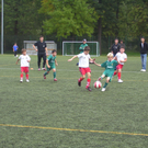 VN Fotos Oktober 016_jpg-1286183295