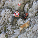 normal_03102010berghundbsmgaktivnews_19.jpg