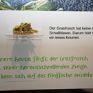 DSC_0331_JPG-1286203393