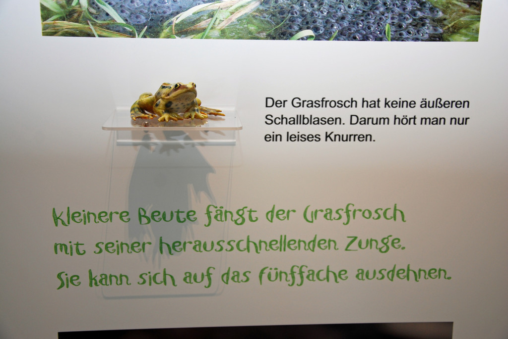 DSC_0331_JPG-1286203393