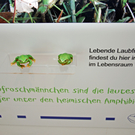 DSC_0332_JPG-1286203425