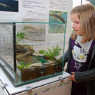 DSC_0324_JPG-1286203360