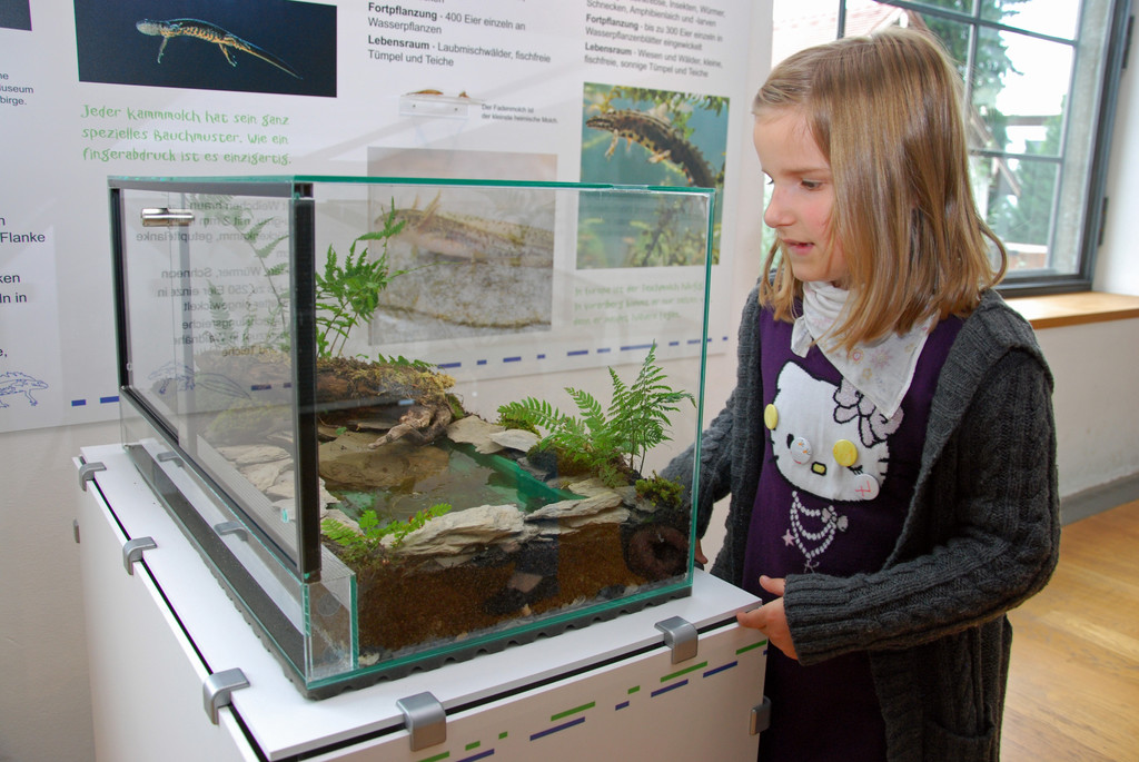 DSC_0324_JPG-1286203360