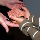 DSC_0377_JPG-1286203775