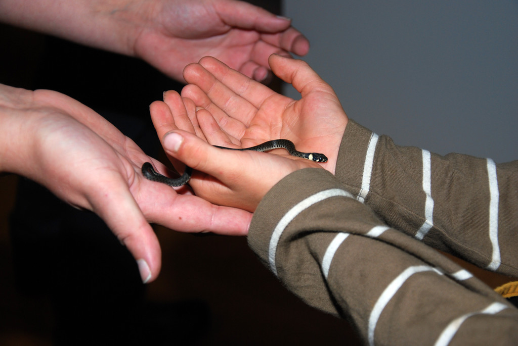 DSC_0377_JPG-1286203775