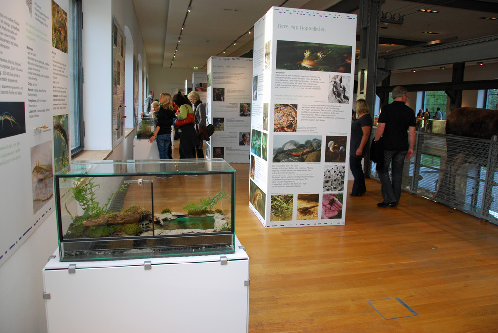 DSC_0396_JPG-1286203852