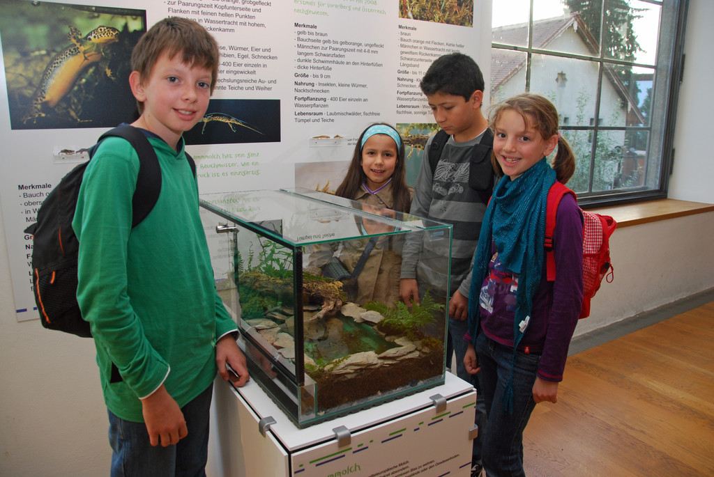 DSC_0405_JPG-1286203934