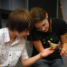 DSC_0450_JPG-1286204027