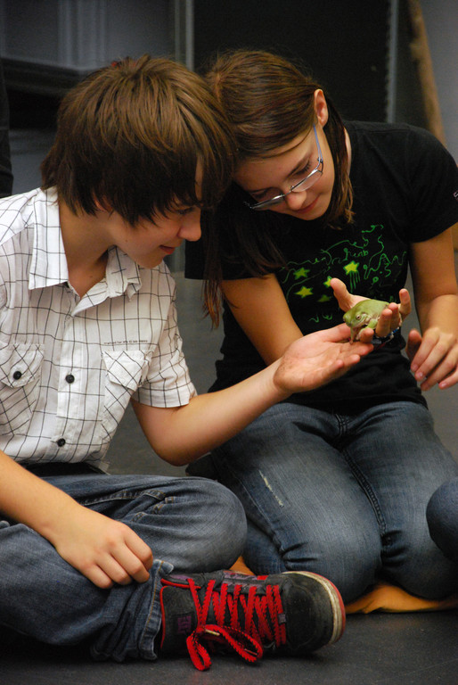 DSC_0450_JPG-1286204027