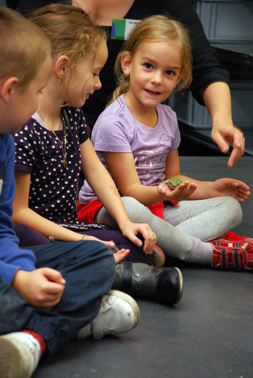 DSC_0452_JPG-1286204086