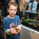 DSC_0478_JPG-1286204310