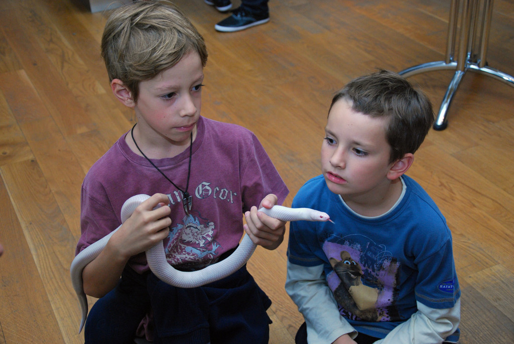 DSC_0486_JPG-1286204397