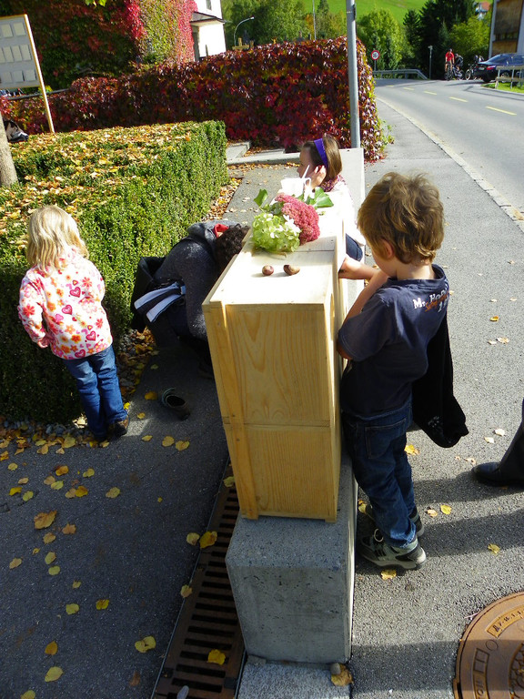 106_7151_jpg-1286231282