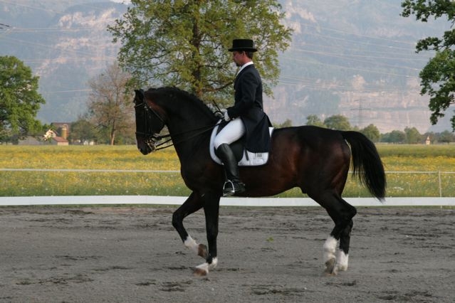 IMG_6199_JPG-1286259121