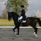 IMG_6199_JPG-1286259121