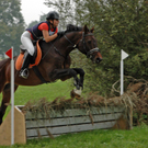 Vielseitigkeit 06_JPG-1286259154