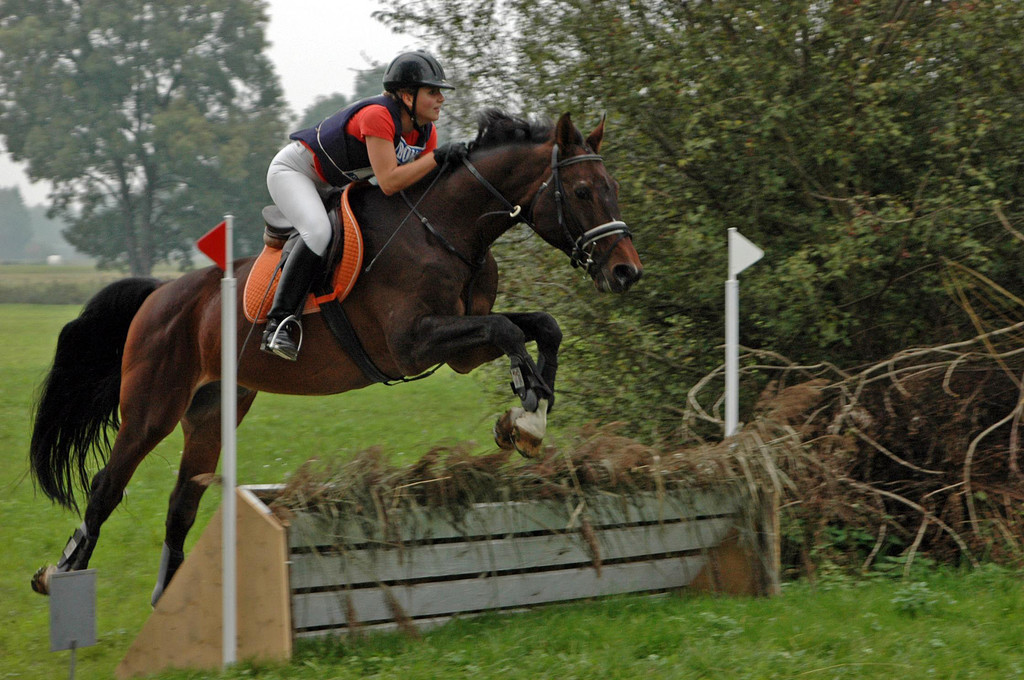 Vielseitigkeit 06_JPG-1286259154