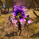 fov8.jpg