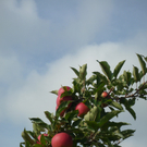 L1010297.JPG
