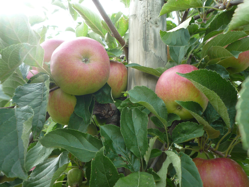 L1010323.JPG