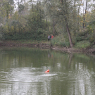 normal_051010teichgaaktivnews_0018.jpg
