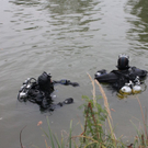 normal_051010teichgaaktivnews_0024.jpg