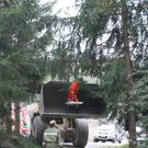normal_051010teichgaaktivnews_0034.jpg