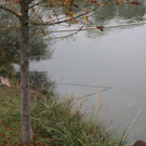 normal_051010teichgaaktivnews_0051.jpg