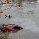 normal_051010teichgaaktivnews_0073.jpg
