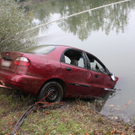 normal_051010teichgaaktivnews_0094.jpg