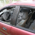normal_051010teichgaaktivnews_0112.jpg