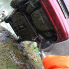 normal_051010teichgaaktivnews_0122.jpg