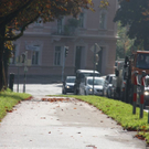 normal_06102010Kunstadieutaaktivnews_02.jpg