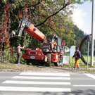 normal_06102010Kunstadieutaaktivnews_22.jpg