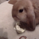 29092010171.jpg