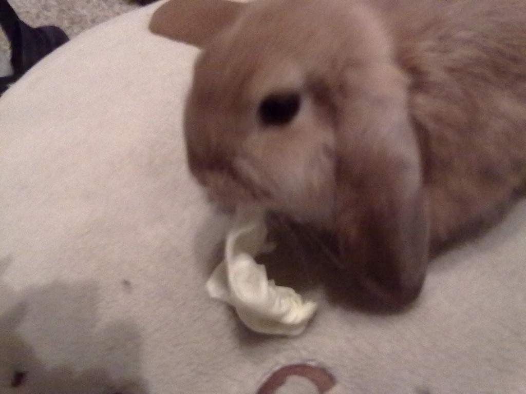 29092010171.jpg
