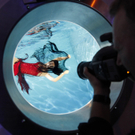 Bregenzer Festspiele: Fotoshoot unter Wasser