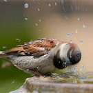 photos-taken-at-time-32.jpg