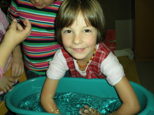 DSCN2524.jpg