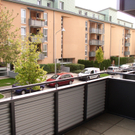 P1010057.JPG