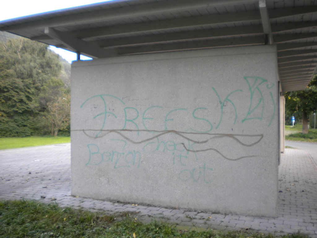 Bild 018_jpg-1286460095